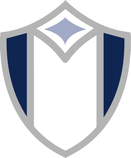 Maverick Solutions Logo